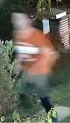 f7ea737afc1454fedf0baa6bcd1c79df.png