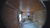 Huehnerhaus 2026-05-11 09.01.12.685.jpg