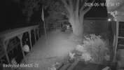 192.168.1.110_Backyard-B5442E-ZE _main_20260516025617_@1.jpg