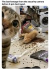 IMG_0366.jpeg