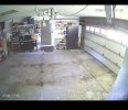 IMG_3376.jpeg