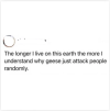 1782212093365.png
