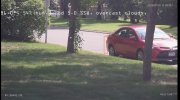 IMG_3726.jpeg