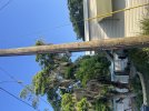 IMG_1831.jpeg