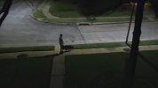 Fuzzy.jpg