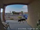 DoorBell 2026-08-03 07.10.32.351 AM.jpg