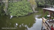 2-192.168.1.110_GatorCam-Color4K-T_main_20260804113255_@1.jpg
