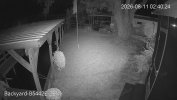 192.168.1.110_Backyard-B5442E-ZE _main_20260811024024_@1.jpg