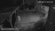 192.168.1.110_Backyard-B5442E-ZE _main_20260812205704_@1.jpg