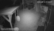 192.168.1.110_Backyard-B5442E-ZE _main_20260812205519_@1.jpg
