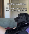 1787049955341.png