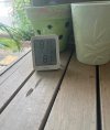 IMG_2085.jpeg