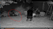 082226 opposum freeze 02.PNG