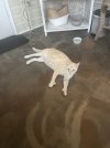 IMG_1682.jpeg