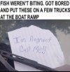 IMG_2123.jpeg