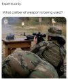 IMG_2384.jpeg