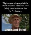 IMG_2506.jpeg