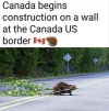 1789725445788.png