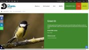 A Great Tit in the UK.jpg