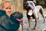 MAIN-Police-found-pit-bulls-eating-woman-owner-after-savage-attack-while-she-was-walking-them.jpg