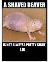 IMG_2770.jpeg