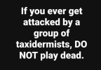 1791215752813.png