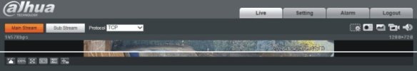 IE-screen.jpg