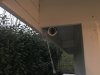 D4519CE9-3279-4FAE-8145-3529604F57B4.jpeg
