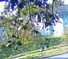 image-BLUE.png
