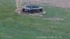 Cam1.20180404_170424.jpg