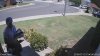 FYARD.20180713_130000_1.jpg