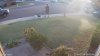 FYARD.20180714_060000_1.jpg