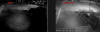 Camera night vision.png
