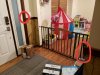 20180913_193145.jpg