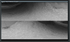 Capture.PNG