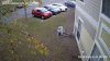 DW1.20181030_182108581.jpg