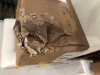 Clipboard05.jpg