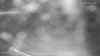 PTZ Pole South 2019-1-4 10.57.47.73 PM-Flare.jpg