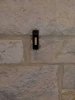IMG_1081.jpeg