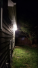 Backyard.png