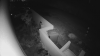 20190315_235929.png