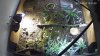 Terrarium 2019-6-3 07.20.25.545 PM.jpg