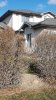 2 LPR Cam (no leaves) - Side View.jpg