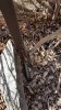 3 LPR Cam (base).jpg