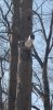 20190320_114333.jpg
