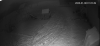 2019.1.8 Camera Issue.PNG