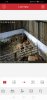 Screenshot_20200227_231938_com.mcu.iVMS.jpg