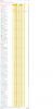 TM process.png