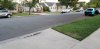 20200801_082929.jpg