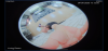 562B7BDA-78E7-4CA0-BA42-FEE8B0E43FEF.png